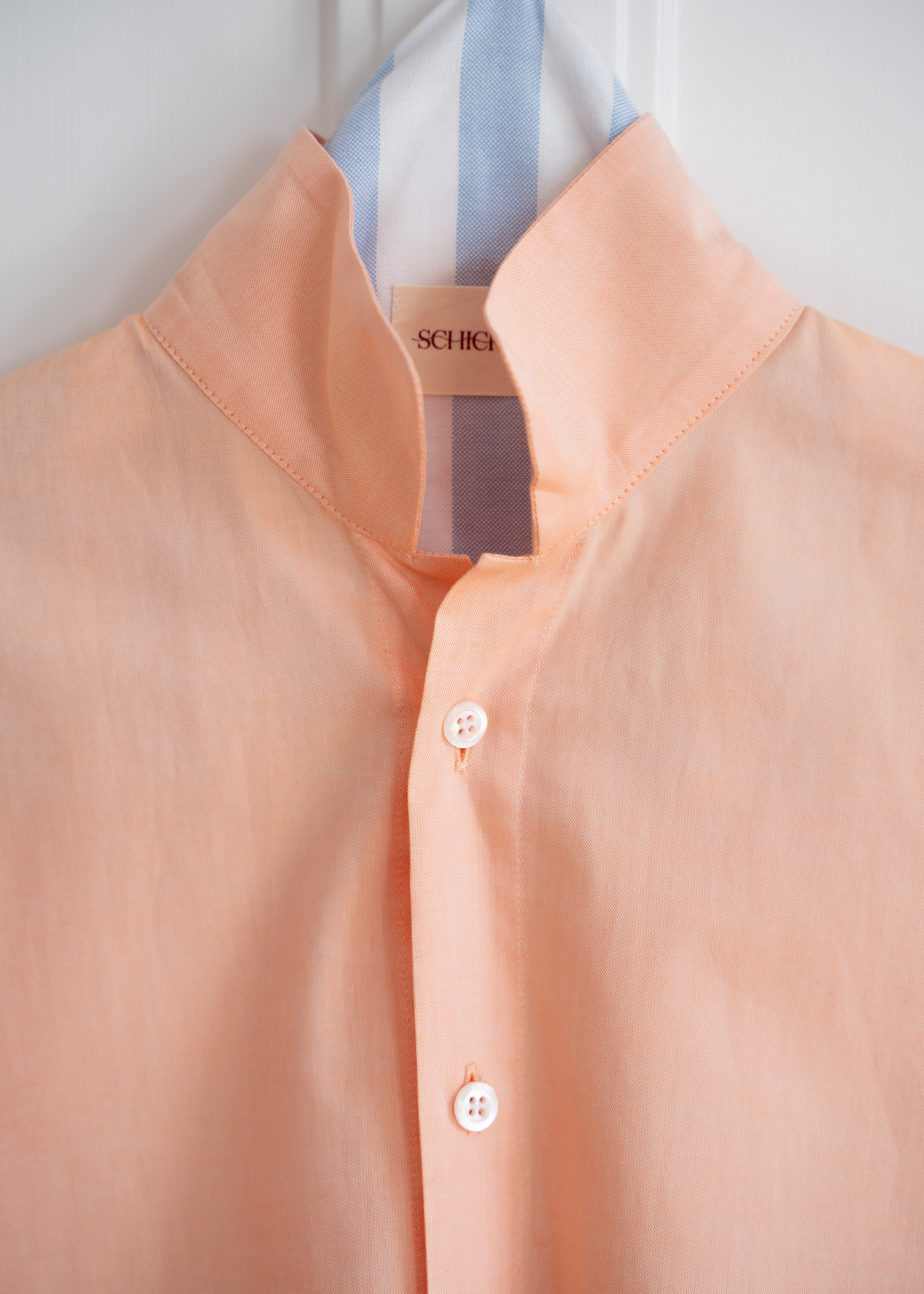 Arturo – Apricot