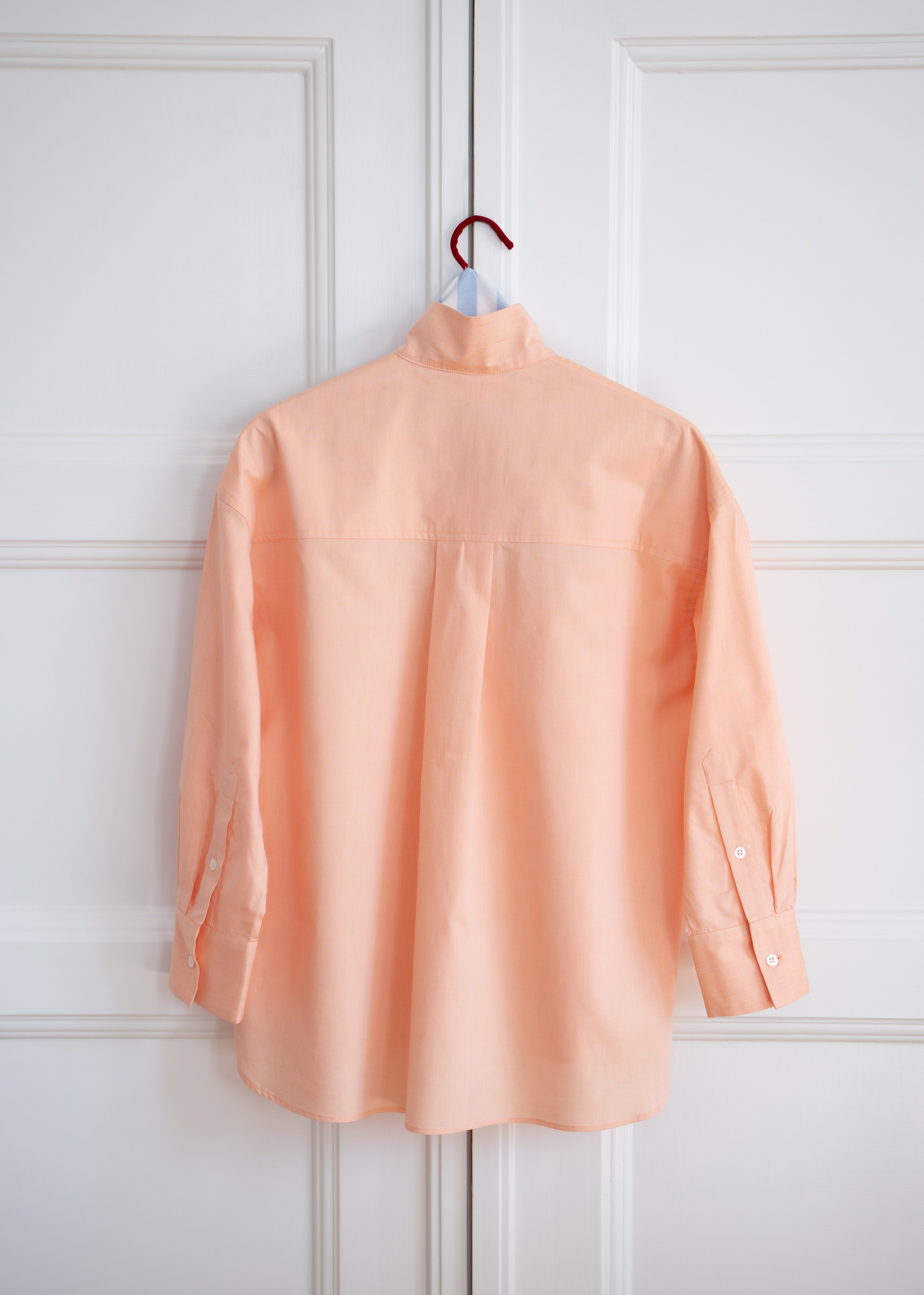 Arturo – Apricot